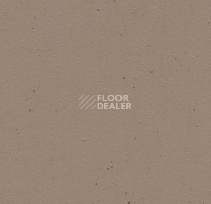 Линолеум Forbo Marmoleum Solid Cocoa 3580-358035 milk chocolate фото 1 | FLOORDEALER